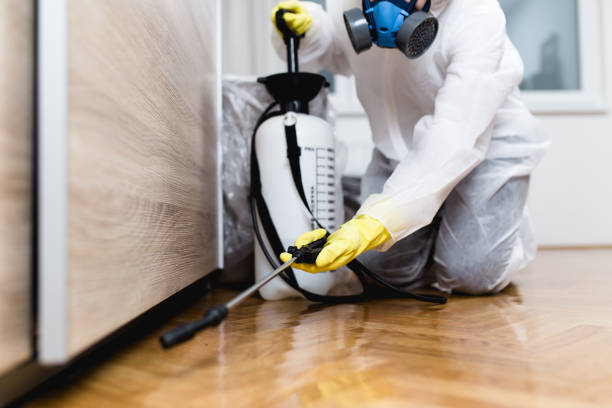 Wasp Removal Services in Seward, NE