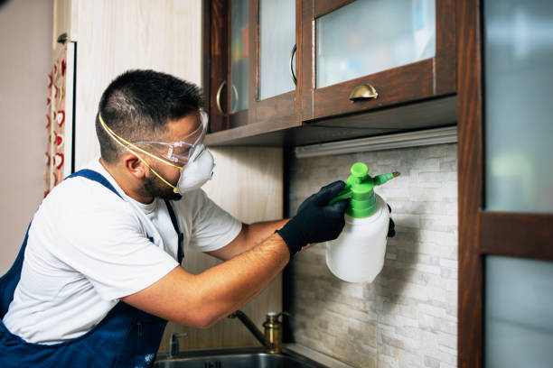 Best Pest Removal Services  in Seward, NE