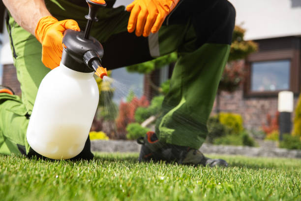 Best Best Pest Control Companies  in Seward, NE