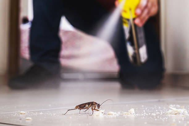 Best Rodent Control Near Me  in Seward, NE