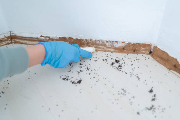 Best Best Pest Control Companies  in Seward, NE
